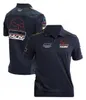 Abbigliamento da moto F1 Formula 1 Team Estate Manica corta Personalizzato Racing Fan Moto Taglie forti T-shirt traspirante ad asciugatura rapida Regala cappelli