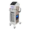 Machine faciale professionnelle 9 sur 1 Thérapie de soins de la peau Machine de spa de beauté