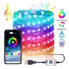Fairy LED String Lights Smart App 16 Färg Byt Bluetooth Lights For Bedroom Party Indoor Christmas Tree New Year Decoration