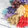 Dekoratif Çiçek Çelenk 27-60pcs Doğal kurutulmuş çiçek 'kuyruk çim buket gerçek çeşitli renkler ev dekoru diy düğün ayarı