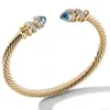 Smycken mode armband kvinnor vävda stålrep inlagd med Haoshi Stainls Steel 18K Gold Open Armband1641624