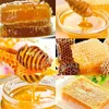 Presse-agrumes à miel en acier inoxydable