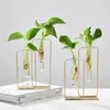 Vaser för interiör terrarium järnlinje glas vas hem dekoration tillbehör nordisk hydropon växt vas kontor skrivbord modern 220628