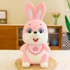Nuovo colore coniglio peluche bambola sciarpa bambole coniglio morbido cuscino regali per ragazze
