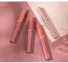 Brillant à lèvres 6 pièces/ensemble liquide mat rouge à lèvres ensemble étanche longue durée hydratant Tubes femmes teinte cosmétiquesLip Wish22