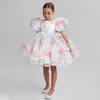 2022 Dentelle blanche mignonne Petit enfant Flower Girl Robes Princesse Jewel Cou Tulle Applique Puffy Floral Formel Formel Porter Party Communion Robe