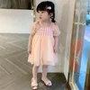 女の子のドレスパフスリーブプリンセスキッズ女の子のためのピンクの格子縞のメッシュドレスかわいい0-4歳の赤ちゃんの子供用衣料品