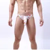 Cuecas elefante nariz homens seda pênis manga bolsa briefs calcinha macia sexy roupa interior conforto calcinha underwearunderpants278s