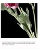 Couronnes de fleurs décoratives nordique fleur artificielle camélia thé Rose faux Bouquet soie salon Arrangement Table décorationdécoratif