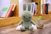 2022 Fyllda djur Partihandel Cartoon Plysch Leksaker Lovely 25cm Lucky Soft Rabbit Mascot Dolls