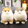 CM محاكاة جميلة القط ألعاب Kawaii الدهون الشعر totoro plushie دمية مملوءة ناعم للأطفال ديكور هدايا عيد الميلاد J220704