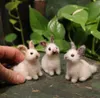 الأرنب عشيق هدية عيد الفصح أفخم أرنب حلية لعبة الأرانب تزيين المنزل