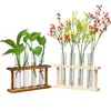 Wooden Frame Hydroponic Container Glass Test Tube Vase Hydroponic Green Radish Dried Flower Plant Flower Home Decoration 220423
