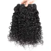 3 bundles Indian Virgin Hair Water Wave Indian Water Wave Human Hair Extensions Gaga Queen