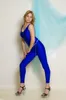 Sexy blauer Catsuit, Kostüme, Tanz, Fitnessstudio, Zentai-Overall, Unisex-Spandex-Body