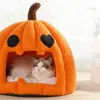 Winter Cat House Halloween Dom dyniowy dla kotów Psy ciepłe gniazdo zwierząt z poduszką kociąt łóżko jaskiniowe Puppy Kennel Akcesoria L225602772