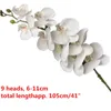 Dekorative Blumenkränze One Real Touch Orchideen Schmetterling Phalaenopsis Weiß/Rosa/Gelb Künstliche Latex-Cymbidium-Orchidee für Hochzeit D