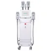 Kriolipoliza Cryolipo Cryolipolysie Cavitation RF Laser 360 Fat Freezing Criolipolisis Machine