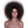 Synthetische Afro -pruik voor zwarte vrouwen Afrikaanse natuurlijke kleur Yaki Straight Short Cosplay Hair 220622