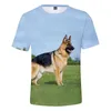 Erkek tişörtler tuhaf köpek severler Alman çoban çocukları tişört harajuku marka çocuklar erkekler/erkekler rahat yumuşak büyük boy