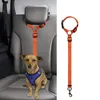 Collari per cani Guinzagli 1 pezzo Cintura di sicurezza per animali domestici Anello di corda di sicurezza per auto Trazione posteriore Forniture per tenere a mano