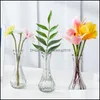 Vaser heminredning tr￤dg￥rd mini transparent glas vas vardagsrum blommor arrangemang dekoration hydroponisk torkad blomma flaska kreativ dro