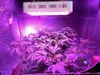 led grow light 300w 600w 1000w 2000w Hydroponic Systems 100x3w Grow Lamp for indoor plants greenhouse