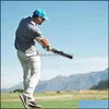 instrutores de swing de golfe