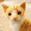 Nieuwe gesimuleerde kattenpop zoals echt schattig pluche kat speelgoed bruin gele kleuren dieren liegen sit kinderen troosten plueshie cadeau j220704