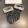 Gants à cinq doigts en cuir véritable pour femmes, gants épais en polaire, simples, tendance, solides, de protection