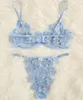 2022 verão sexo boneca women039s 2 peça borboleta apliques bordado malha sexy rendas lingerie bonito set8272469