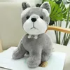 22 cm Kawaii Teddy Dog Plush Toys Lovely Gevulde echte Husky Dog Dolls For Children Baby Birthday cadeautjes