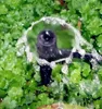 Wąż 360 stopni Regulowany rolniczy wtyczka ogrodowa-in Dipper Spray Irrigation Dysza