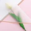 Carta da regalo impermeabile con fiore rosa con bordo dorato Carta da regalo per bouquet da fiorista in stile coreano semitrasparente C0415