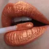 Lip Gloss Metal Glitter Liquid Eyeshadow 12 Cores impermeabilizadas de longa duração Matte Eye Shadow Tint MakeuPliplip