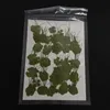 Decorative Flowers & Wreaths 250Pcs Pressed Dry Four-Leaf Clover Leaf Plant Pendant Necklace Jewelry Production Process Diy AccessoriesDecor