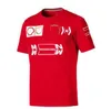 Мужские футболки F1 Racing Polo костюм 2022 Летняя команда лацли