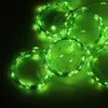 Строки светодиодные кортинас curtian струнные светильники Fairy USB Дистанционное управление гирляндой для домашнего окна Рождественское отделение салондал2209943