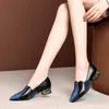 Платье обувь Женщины заостренный носок Multi Color Slip на каблуке леди классические офисные насосы2022