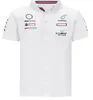 F1 Formuła 1 Racing Polo Shirt Team Lapel Shirt tego samego stylu dostosowywanie