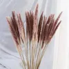 Natural Real Pampas Grama Tabela Secada Flores Decoração Boho Plantas Artificiais Mariage Decoração Home Acessórios de Natal RRB15240