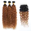 閉鎖色のT1B430 OMBRE WETおよびWAVY BUNDLES 4x4 CLOSURES 4PCS REMY 5906280を備えた100の未加工バージンヘアウォーウェーブバンドル