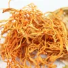 Suchy kwiat Cordycepsu Chińskie zioło Chong Cao Jedzenie Korzyści zdrowotne