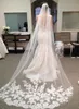 2017 Tulle Lace Wedding Veils with Lace Long Aphted Netting Bridal Veils with Long Veils5116169