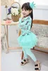 Girl Hair Clips Childrens Accessories Kid Princess Flower Bows Korean Crown Barrettes Baby Girls Hairbows C11099
