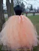 Tutu Skirt Mother Daughter Dresses Coral Summer Beach Cheap Gowns Fluffy Short Family Clothing Free Shipping party