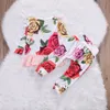 Baby Girls Clothes Newborn Infant Toddler Kids Long Sleeve Top Shirt Dress +Pant 2Pcs Flower Outfit Baby Girls Clothing Sets