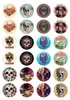 Free Shipping DIY Jewelry Findings,New Arrival Skull Glass Stone Buttons Skull Buttons for Snap Bracelet Earrings Necklace Ring Jewelry