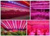 Whole5m 5050 DC12V LED Strip plant grow lights Red Blue 41517181 for greenhouse Hydroponic plant Growing5mlot9272890