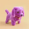 Jouet en peluche électrique pour chien, retraite, appel brillant, rembobinage, stalle pour chien, source de vente, jouets électroniques pour animaux de compagnie